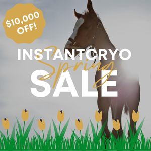 Image post by @gundyparkequine on Instagram