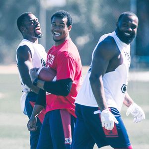 Image post by @mtlalouettes on Instagram