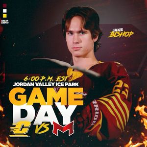 Image post by @cmuhockeyd3 on Instagram