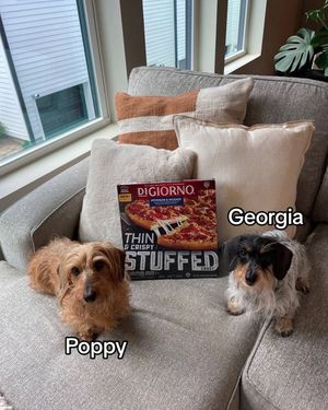 Image post by @digiorno on Instagram
