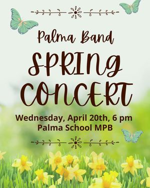 Image post by @palma_school on Instagram