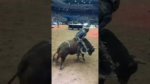 Video post by @pbr on YouTube