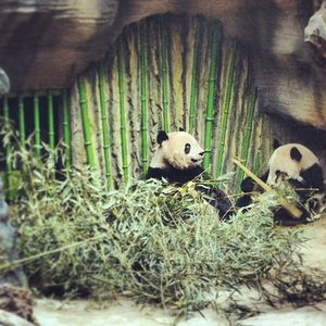Image post by @emmalovewell on Instagram