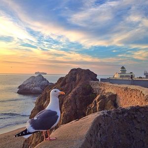 Image post by @onlyinsf on Instagram