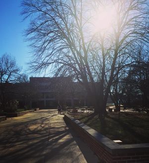 Image post by @umsl on Instagram