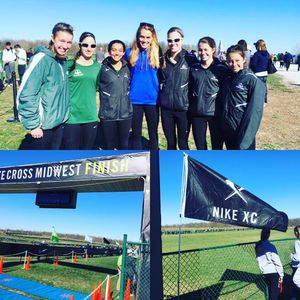 Image post by @steeple_squigs on Instagram