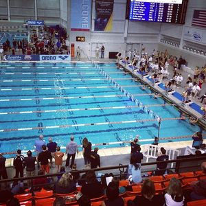 Image post by @arenausa on Instagram
