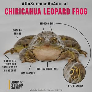 Image post by @centerforbiodiv on Instagram