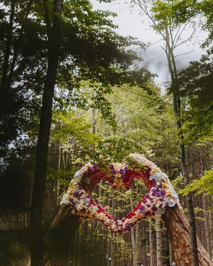 Image post by @electric_forest on Instagram