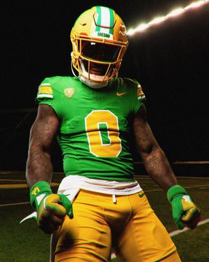 Image post by @goducks on Instagram