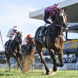 Image post by @australianturfclub on Instagram