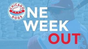 Image post by @thechicagodogs on Instagram