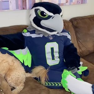 Image post by @blitztheseahawk on Instagram