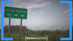 Video post by @newsnation on YouTube