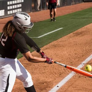 Image post by @gamecocksoftball on Instagram