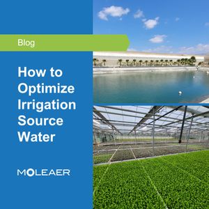 Image post by @moleaer on Instagram