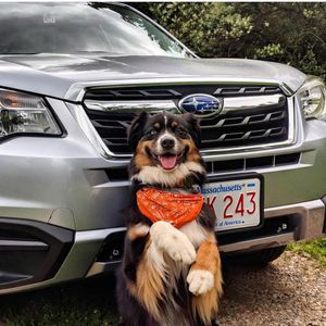 Image post by @schompsubaru on Instagram