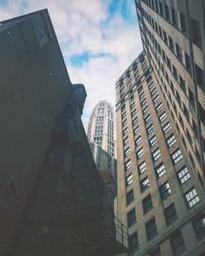 Image post by @willtrogdon on Instagram