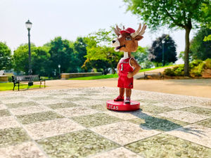 Image post by @fairfieldu on Instagram