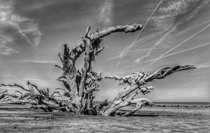 Image post by @davewphotography on Instagram