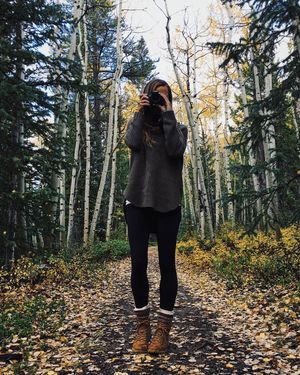 Image post by @emilyventures on Instagram