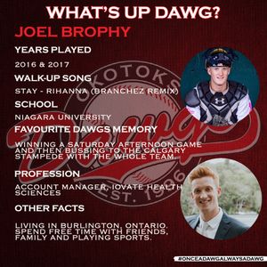 Image post by @okotoksdawgs on Instagram