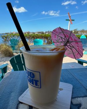 Image post by @visitsarasotacounty on Instagram