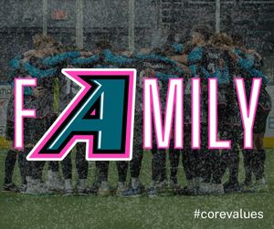 Image post by @stlouisambush on Instagram
