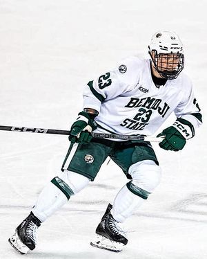 Image post by @everythingcollegehockey on Instagram