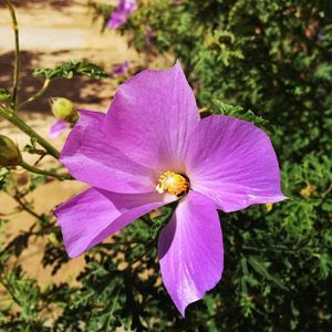 Image post by @gcu on Instagram