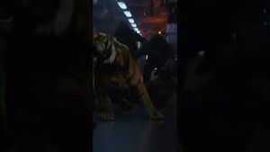 Video post by @streamonmax on YouTube