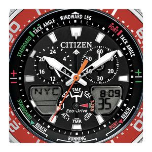 Image post by @citizenwatchus on Instagram