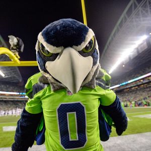 Image post by @blitztheseahawk on Instagram