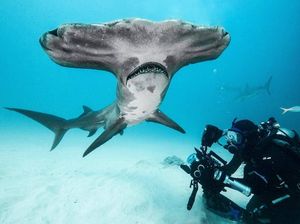 Image post by @reddigitalcinema on Instagram