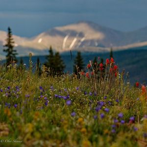 Image post by @winterparkresort on Instagram
