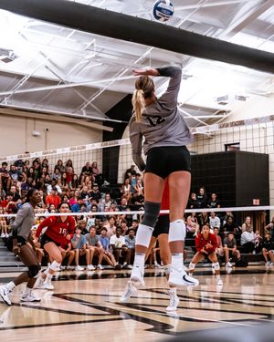 Image post by @wakevolleyball on Instagram
