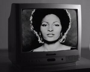 Image post by @wavelengthprods on Instagram