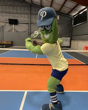 Image post by @picklesbaseball on Instagram