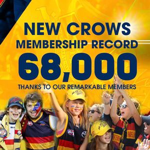 Image post by @adelaide_fc on Instagram