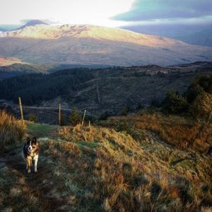 Image post by @blacks_online on Instagram