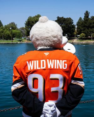 Image post by @wildwingana on Instagram