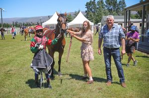 Image post by @NZHorseAmbulanceTrust on Facebook