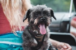 Image post by @tamanephotography on Instagram