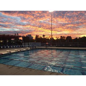 Image post by @fresnostateswimdive on Instagram