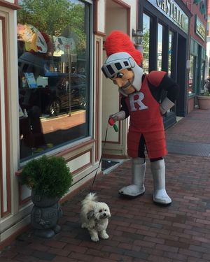 Image post by @rutgersu on Instagram