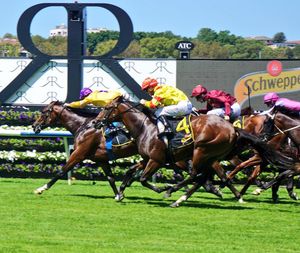 Image post by @australianturfclub on Instagram