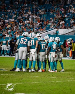 Image post by @dolphins_esp on Instagram