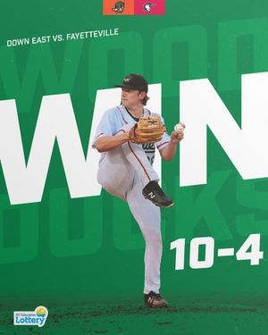 Image post by @GoWoodDucks on Twitter