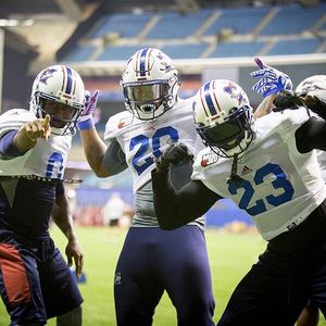 Image post by @mtlalouettes on Instagram