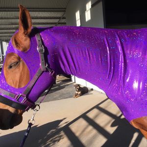 Image post by @flynhighhorsewear on Instagram